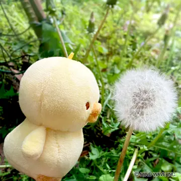 ひよこ 2個セット】ひよこフィジェット 赤軸＆緑軸メカニカルスイッチ