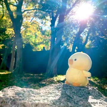 ぬいぐるみマスコット ミニ ぴよこ豆 レギュラー | マインド