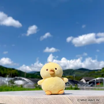 ひよこ Amazon.co.jp: [ジェラート ピケ] BABY新生児ひよこ柄2wayオール