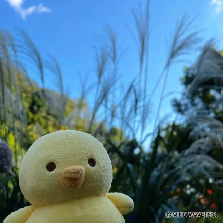 ぬいぐるみマスコット 95358 ぴよこ豆 | マインドウェイブ