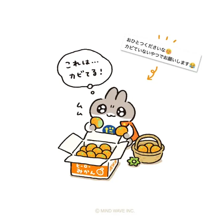 いぬころくんくん ころりーぬ放送ありがとうございました！🩵❤️ 可愛かった( ՞. ̫