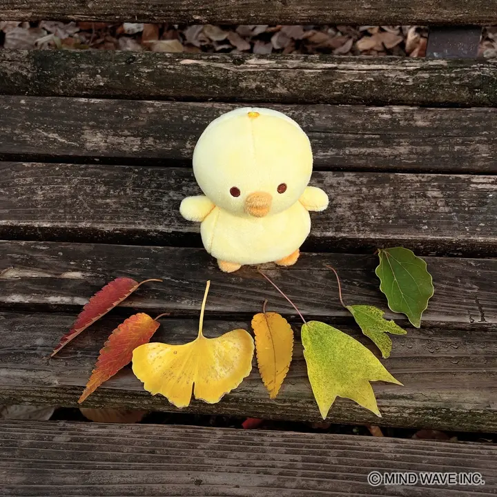 おでん☆ひよこ 木工房千舟｜ちびたまひよこ COMFOTA 北欧雑貨店