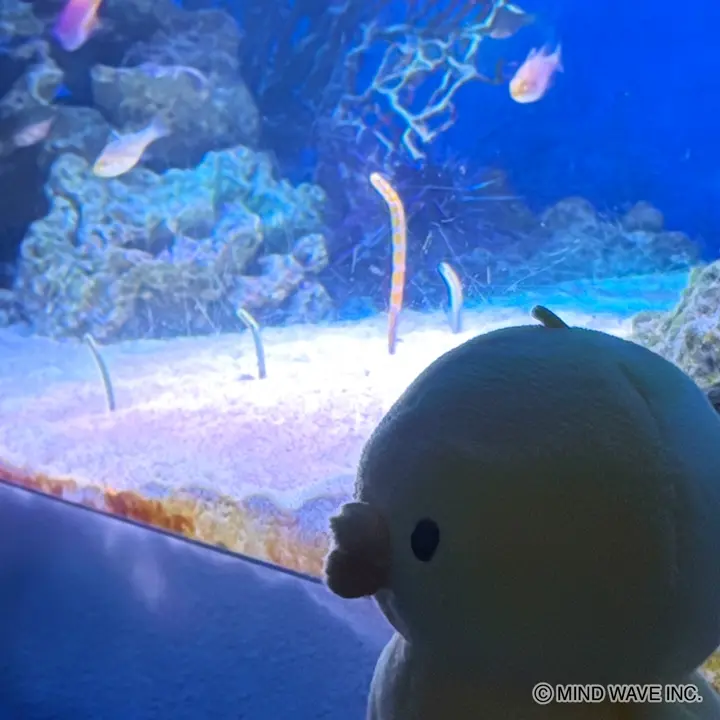 オンラインストア＆催事限定 10種トレーディング 缶バッジ ぴよこ豆