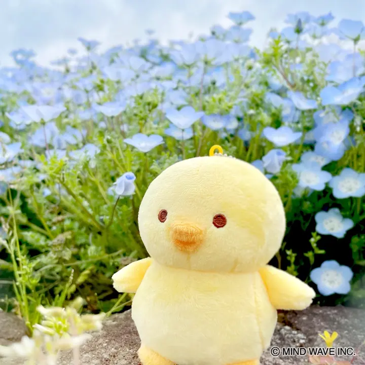 ぬいぐるみマスコット ぴよこ豆 ねそべり | マインドウェイブ
