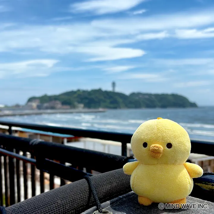 ぬいぐるみマスコット ぴよこ豆 ねそべり | マインドウェイブ