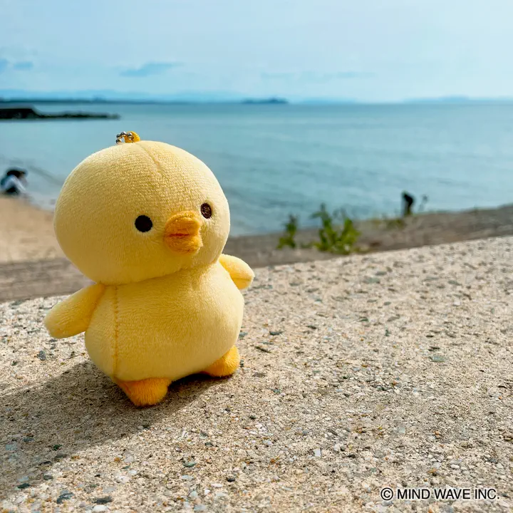 ぬいぐるみマスコット 95358 ぴよこ豆 | マインドウェイブオンラインストア