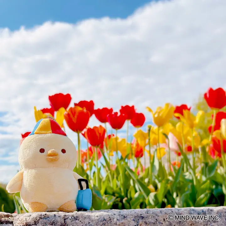 ぬいぐるみマスコット ぴよこ豆 ねそべり | マインドウェイブ
