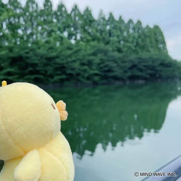 ふわふわぬいぐるみ ぴよこ豆 | マインドウェイブオンラインストア