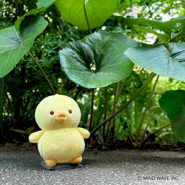 ぬいぐるみマスコット 95358 ぴよこ豆 | マインドウェイブオンラインストア
