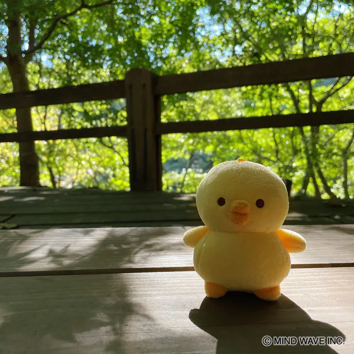 ふわふわぬいぐるみ ぴよこ豆 | マインドウェイブオンラインストア