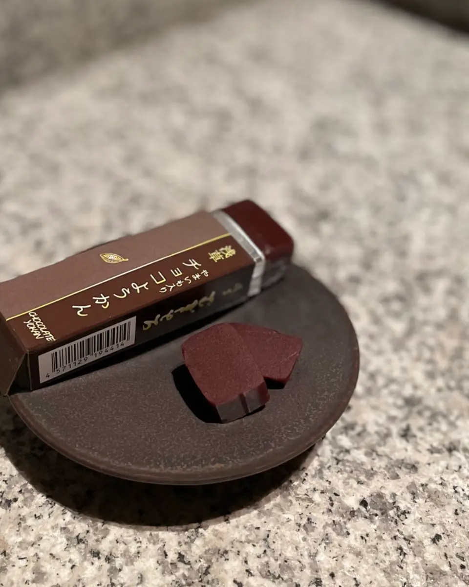 やまいも入りチョコようかん」文庫箱 チョコようかん10個入り