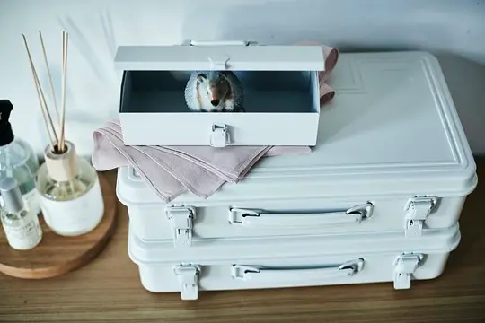 17921509172043746_toyosteel_t_