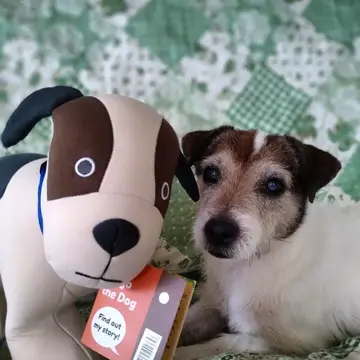 公式】Yogibo Mate Dog（ジオゴ） | Yogibo公式オンラインストア