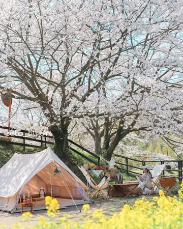 Ydun 5.5 m² glamping tent