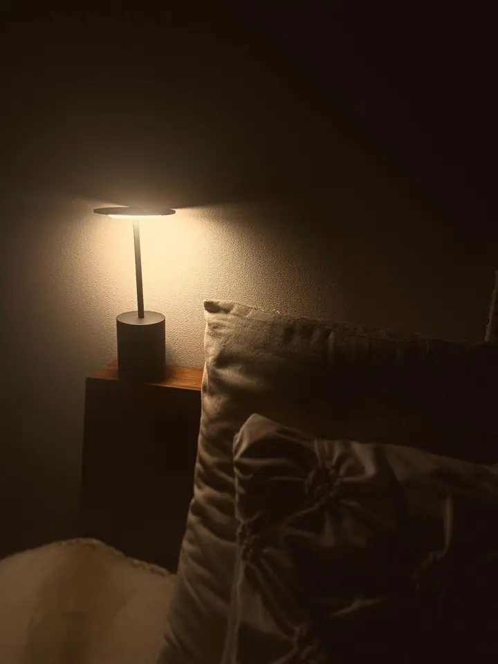 ブルテリア ノベルティフロアライト from Vancouver♪ ブルテリア ノベルティフロアライト from Vancouver♪