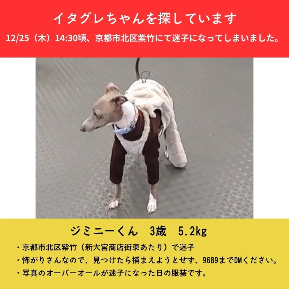 Dog Life Support 9689 ワンちゃんと飼い主さんのライフサポートショップ