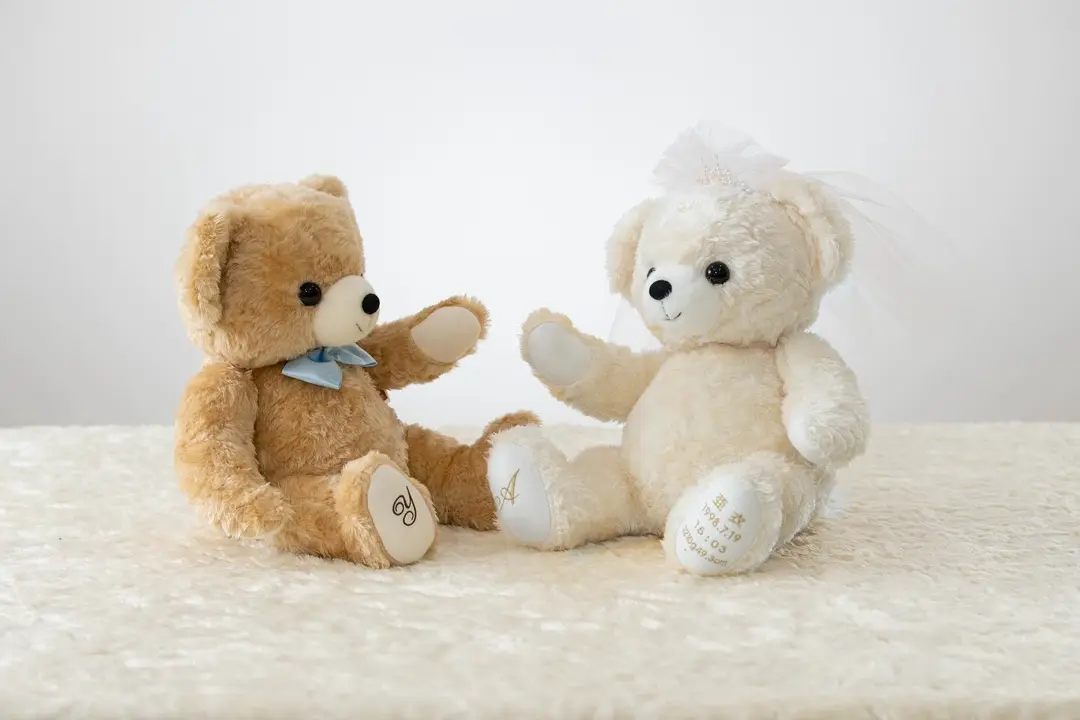 シフォン体重ベア【ロングセラー大人気！】【5000gまで対応】【腕が