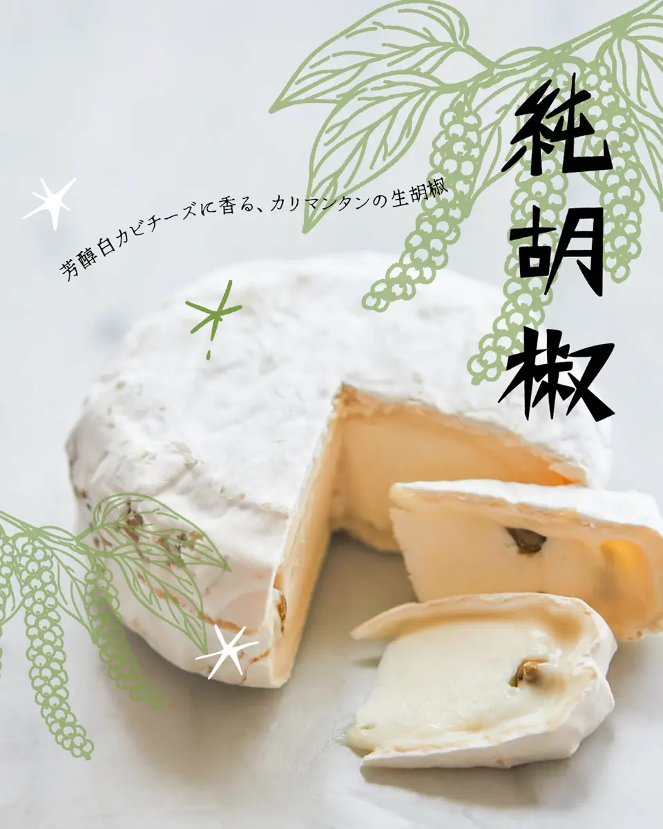 kamemamストレッチーズ CHEESE STAND（チーズスタンド）