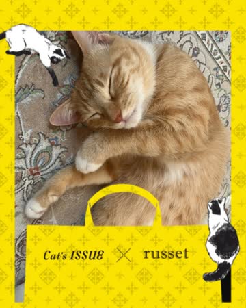 Cat’s ISSUE × russet 猫 トートバッグ 横長 グレー 完売品 1/22発売！〈Cat's ISSUE〉 × 〈russet〉 | ショップブログ