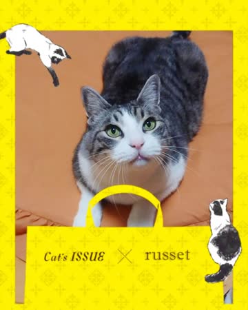 Cat's ISSUE × russet｜パル公式通販サイト｜PAL CLOSET