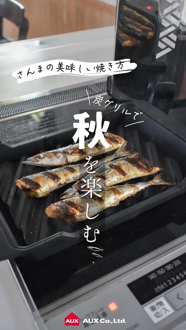 大人の焼魚 オークス】 炭グリル 【大人の焼魚】 OTS8010