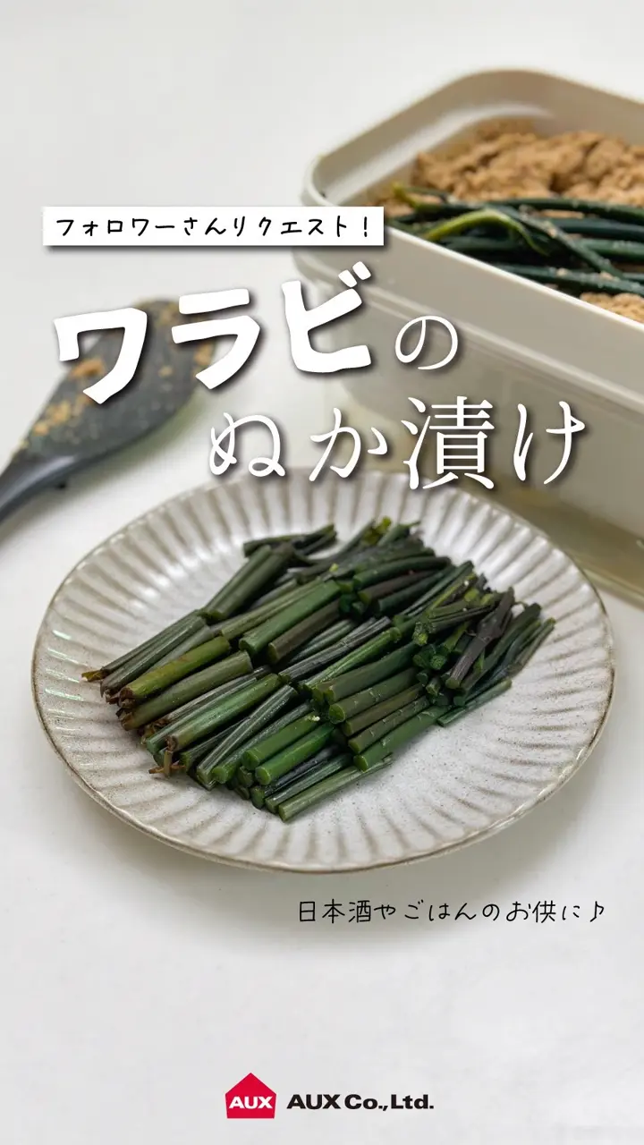 オークス】 ぬかどこボックス LES3201