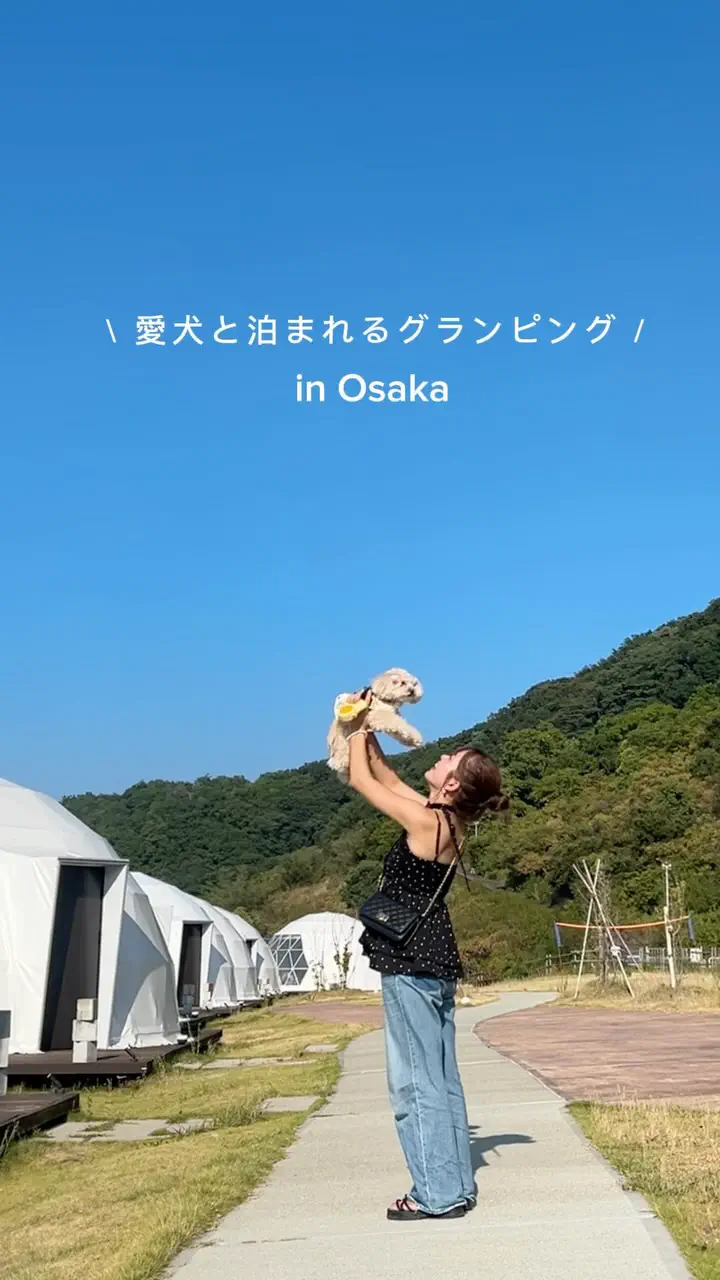 テント キャンピングカー グランピング 車中泊 グランピング予約ならリゾグラ！独占掲載施設・体験記を多数掲載