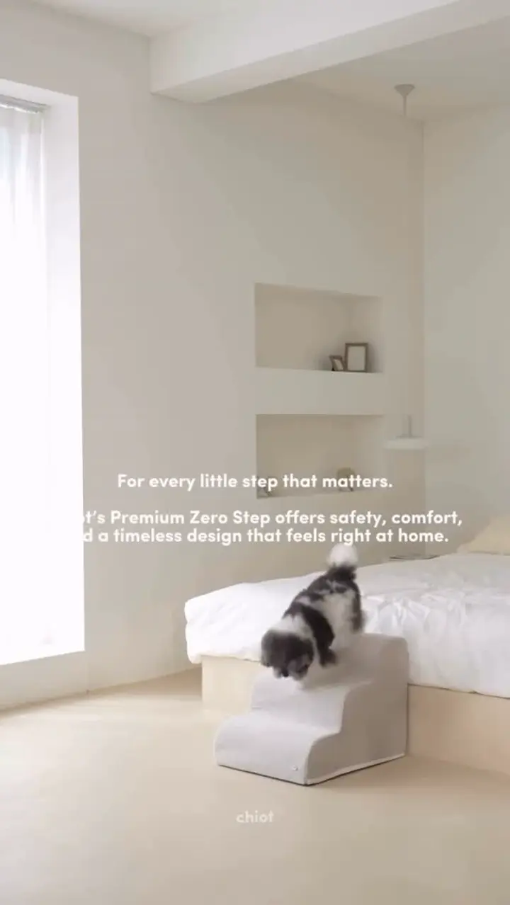 urbandogtokyoの投稿(1441172638398427136)