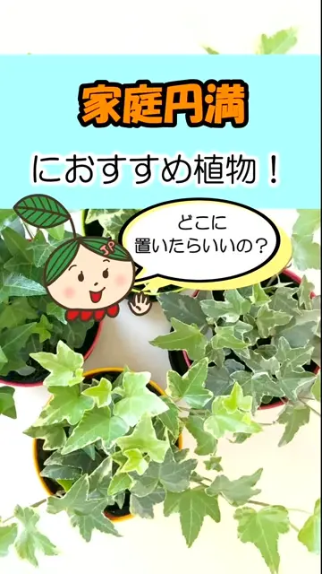 ホワイトゴースト – Jewelry Plant online