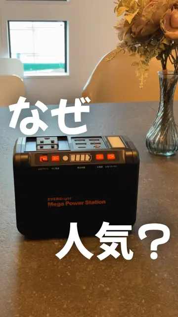 ※トトロ※【ディノスで購入・新品・未使用】 メガパワーST+パネルセット トトロ※【ディノスで購入・新品・未使用】 メガパワーST+パネル