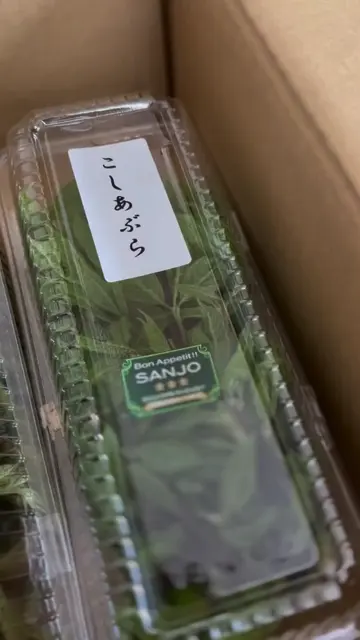 新潟直送計画】新潟県産 天然山菜の詰め合わせ – 企画販売 難波