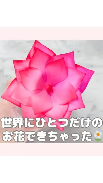 マジカルペーパーフラワー サイエンスキット