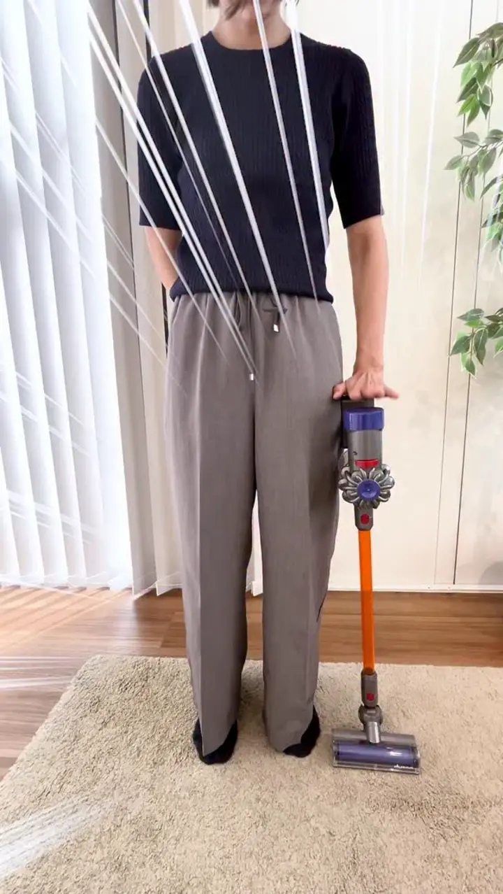 ダイソン コードレス トイクリーナー