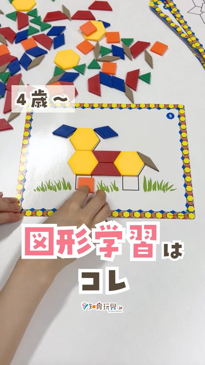 パターンブロック アクティビティセット