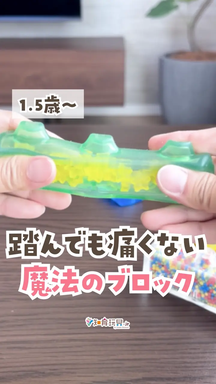 ジェリーブロックス ベーシック（20ピース）