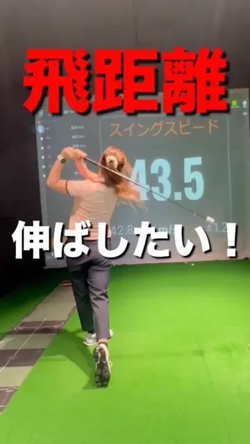 ヤマニゴルフ クイックマスター ハンディスピードスティック ゴルフ練習 クイックマスター]HANDY SPEED STICK(ハンディスピード