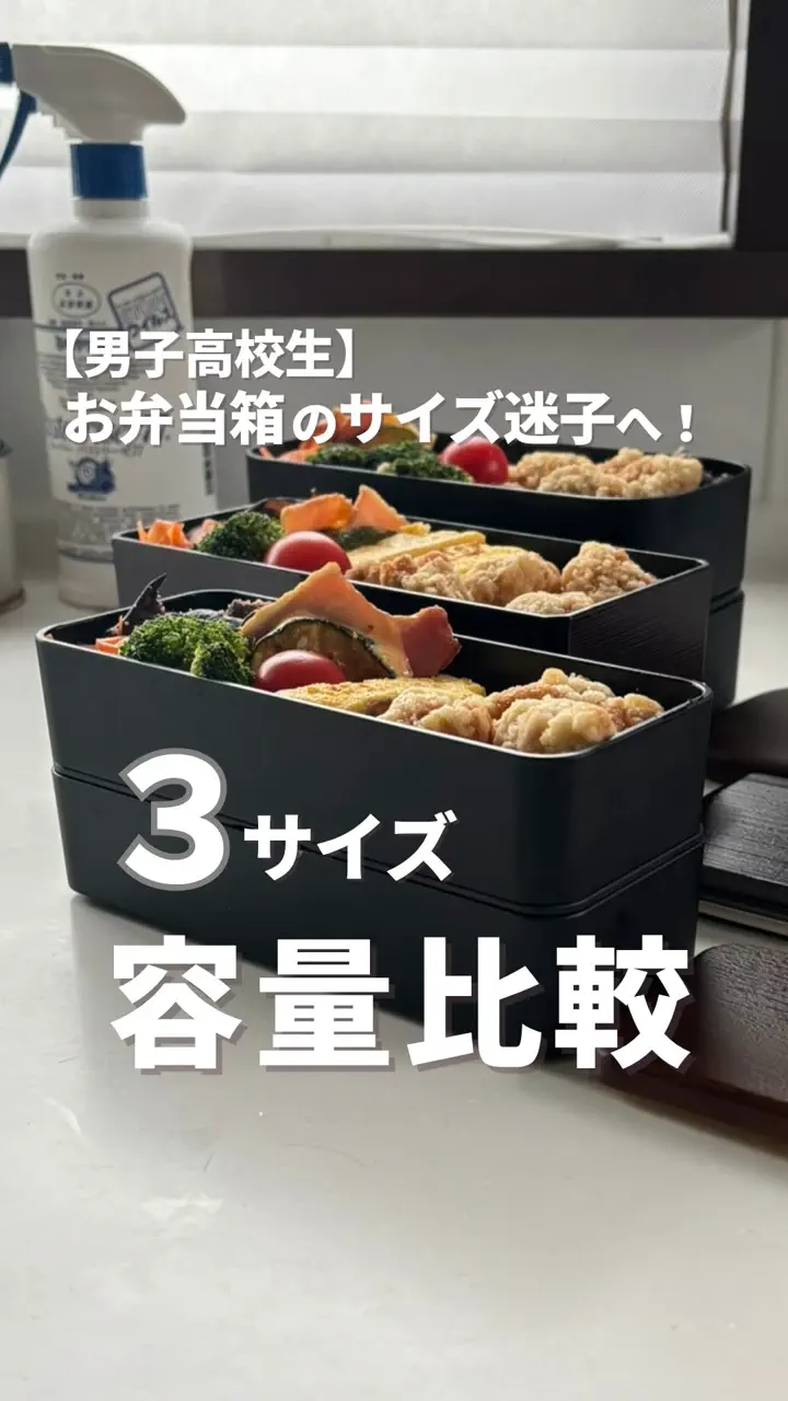 タベルニー お弁当箱専門店 本店／ オンラインショップ