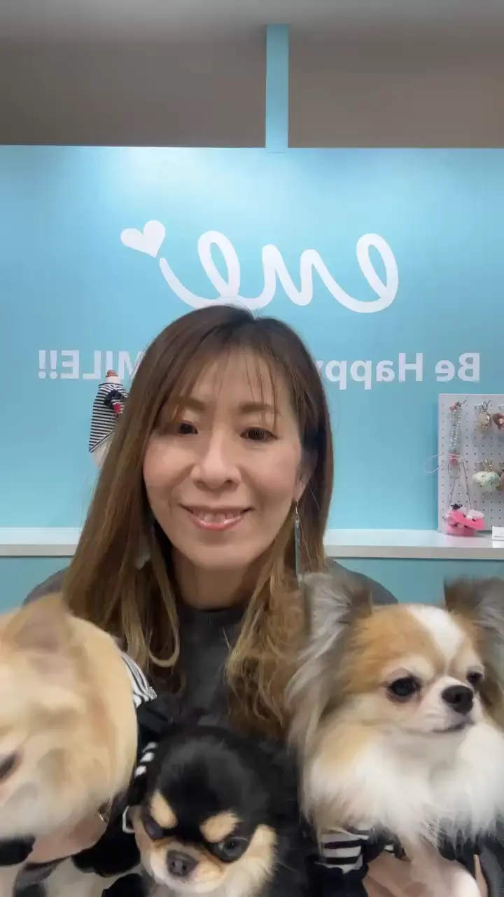 ドッグウェア・犬服の通販のene☆