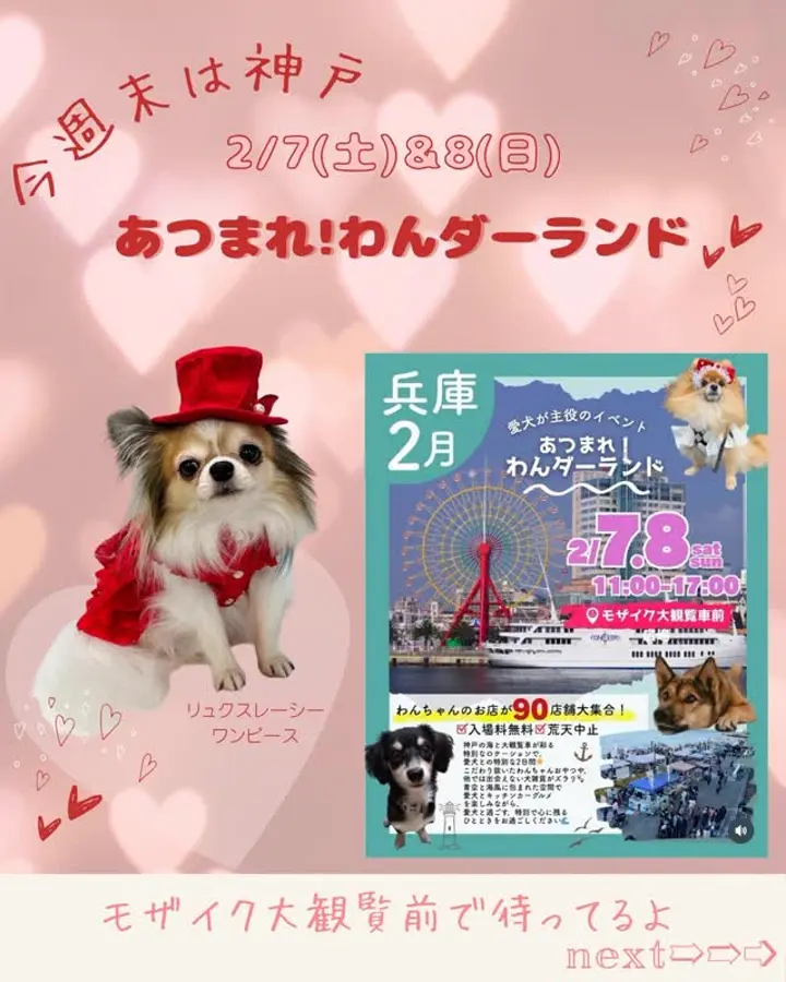 ドッグウェア・犬服の通販のene☆