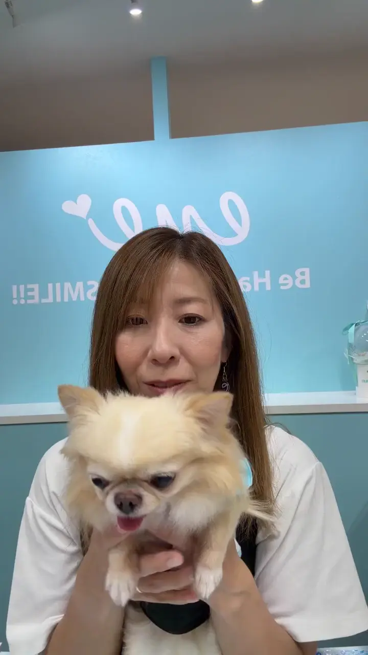 ドッグウェア・犬服の通販のene☆