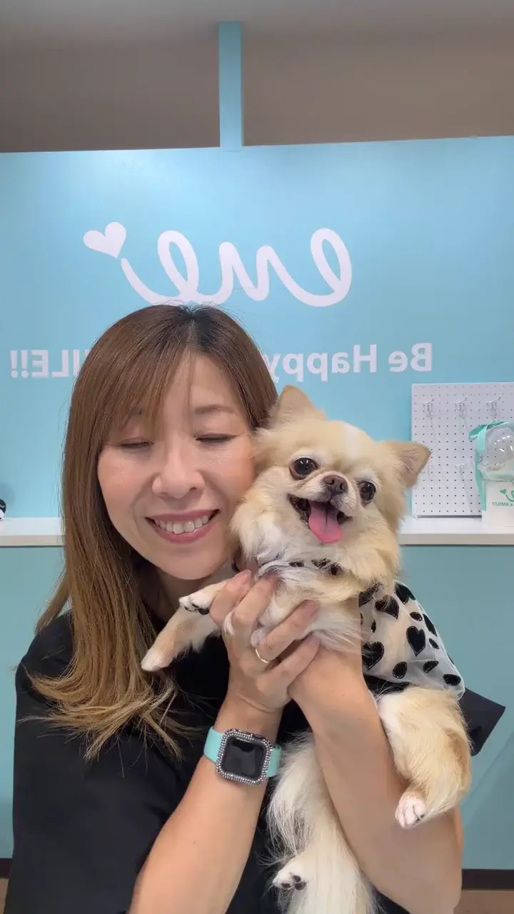 ドッグウェア・犬服の通販のene☆