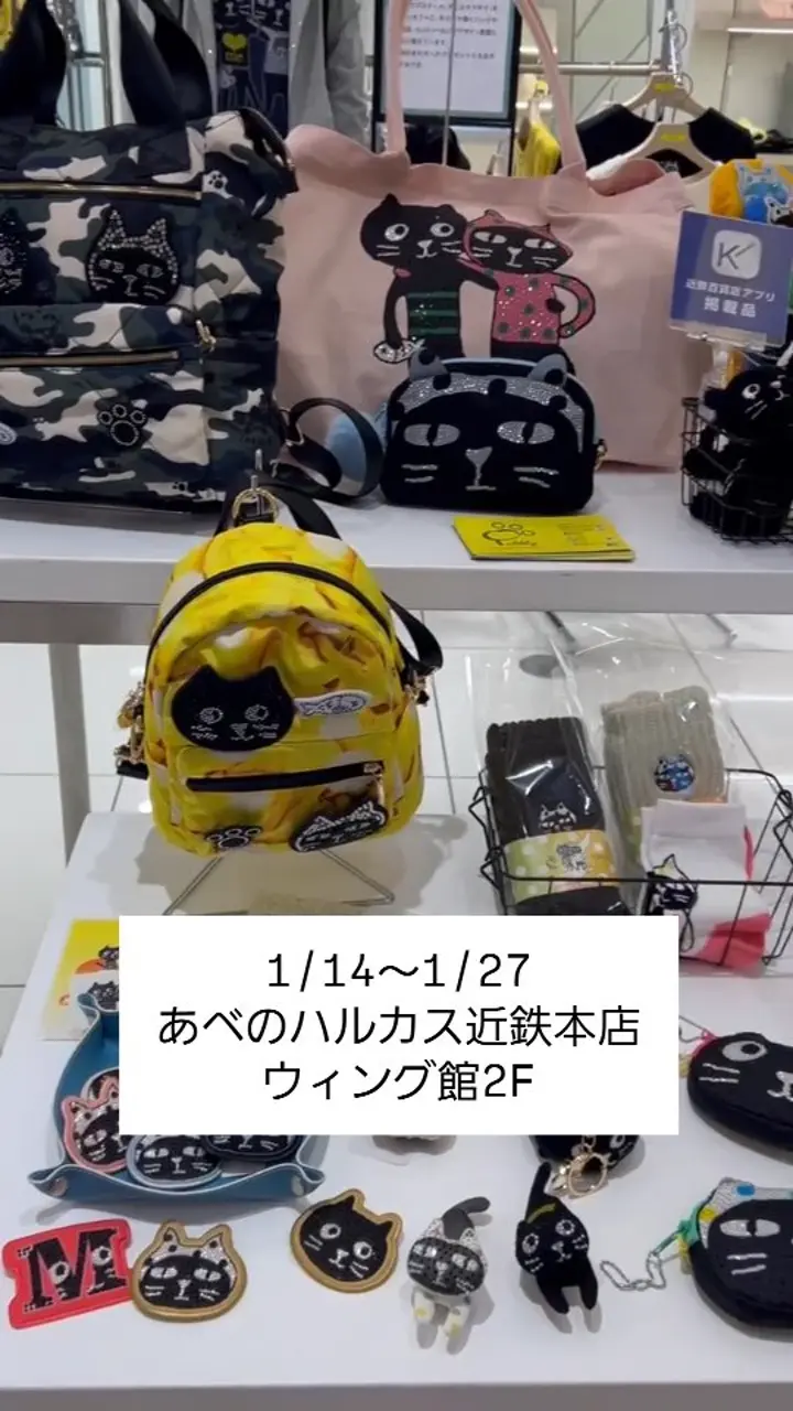 Yoぬいぐるみパスケース | 雑貨 | Pebbly公式通販サイト