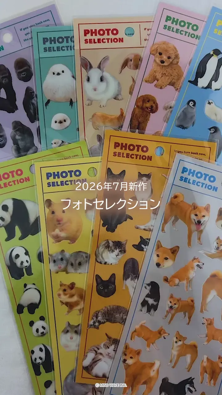 フォトセレクション ゴリラ | マインドウェイブオンラインストア