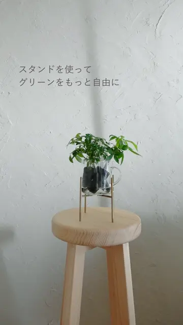 Brass Stand 真鍮製の植物スタンド｜土を使わない観葉植物 – &Green