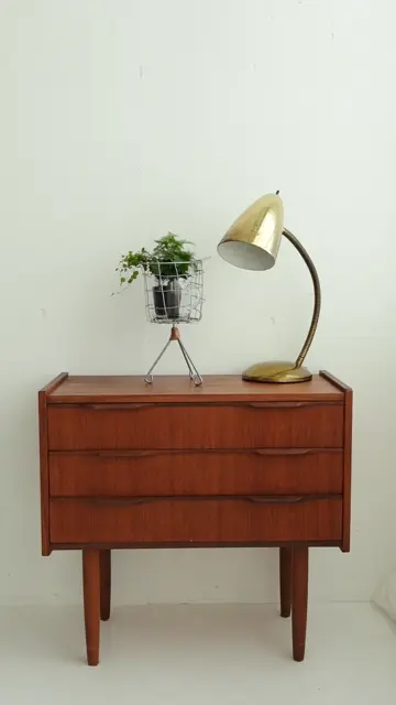 Wire Stand ワイヤーバスケットスタンド｜土を使わない観葉植物