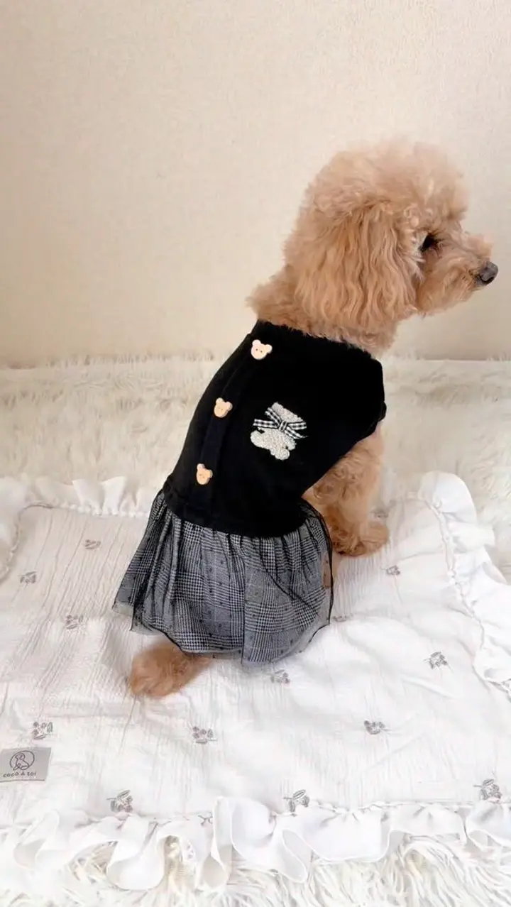 犬服専門ブランド coco A toi(ココアトワ)｜小型犬のための上質な犬服
