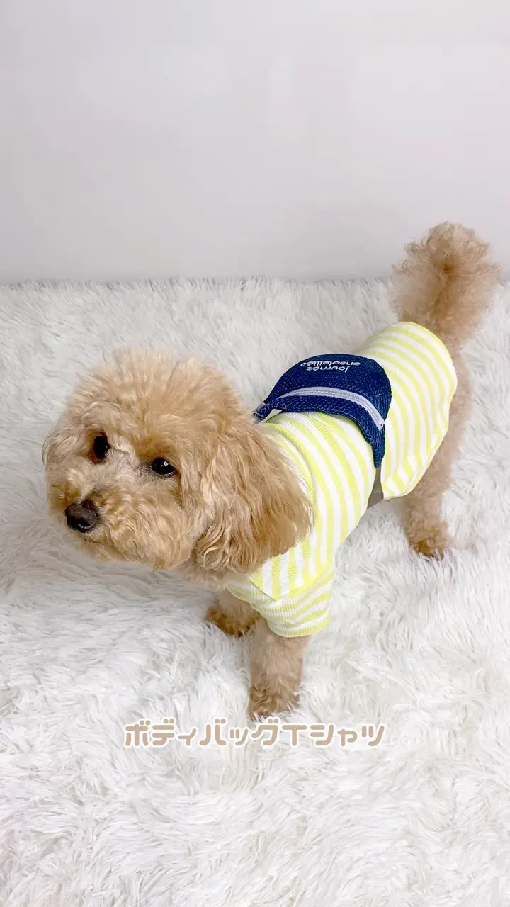 犬服専門ブランド coco A toi(ココアトワ)｜小型犬のための上質な犬服