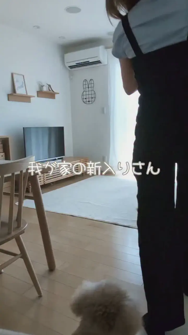 公式】Life with Yogibo | Yogibo公式オンラインストア