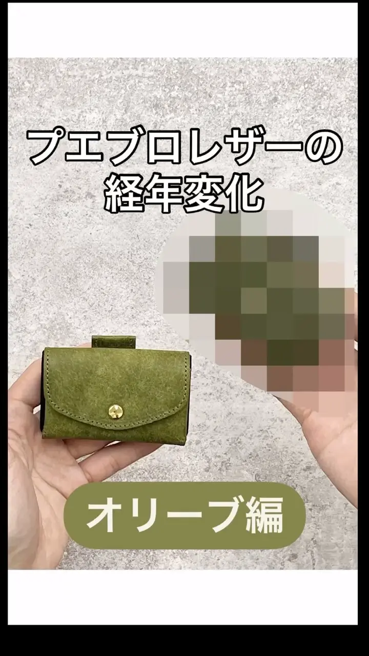 a/oん　コンパクトスリムウォレット　シルバー950 HORWEENクロムエクセル コンパクトウォレット シルバー950