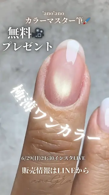 anoano グラデマスターカラーマスター筆セット グラデマスター筆